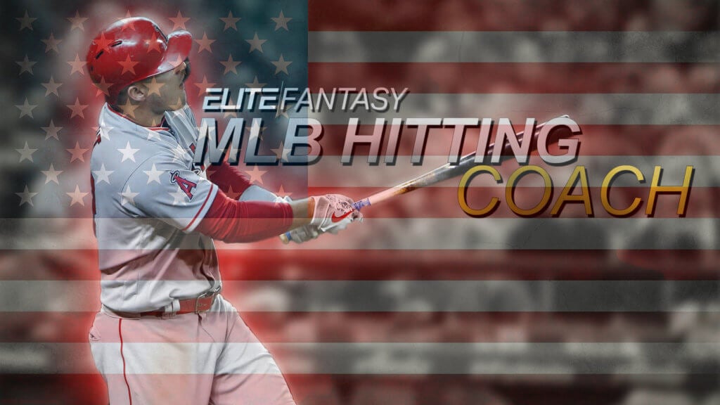 MLB Hitting Coach Logo with American flag background